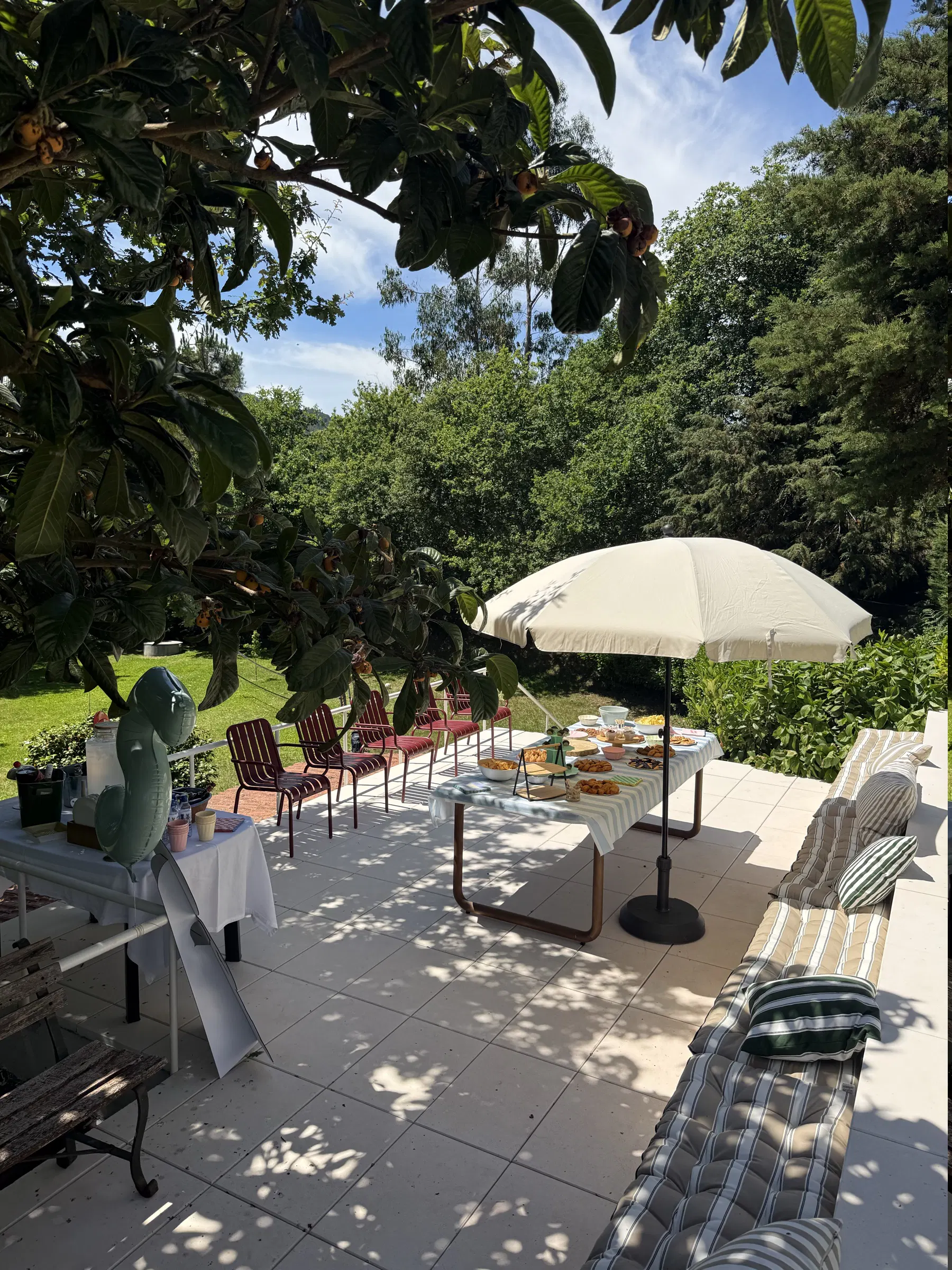 The patio with the table laid and a parasol, under the branches of the loquat tree, with loungers and the lawn beyond.