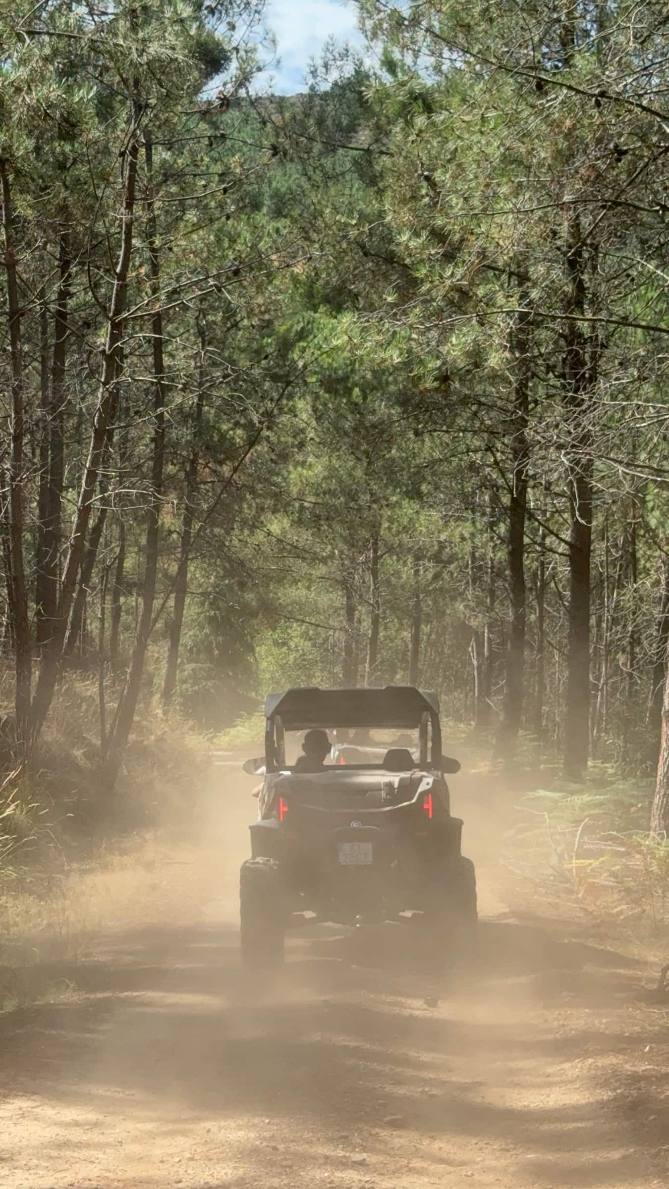 Um buggy a subir um trilho de terra num pinhal de Candemil, a dois quilómetros da casa, a levantar poeira.