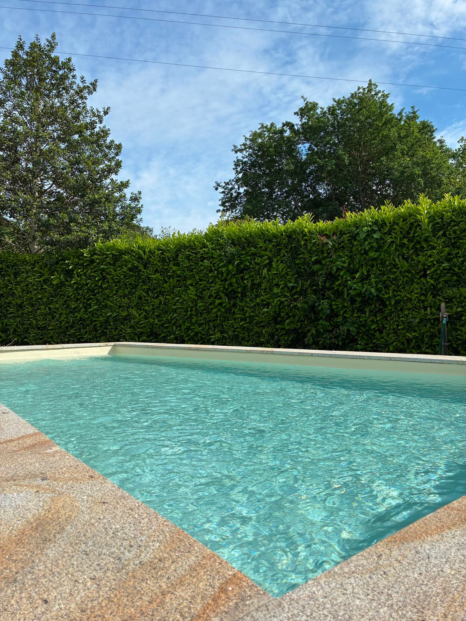 A água clara da piscina contra a sebe alta de loureiro, num dia de céu azul.