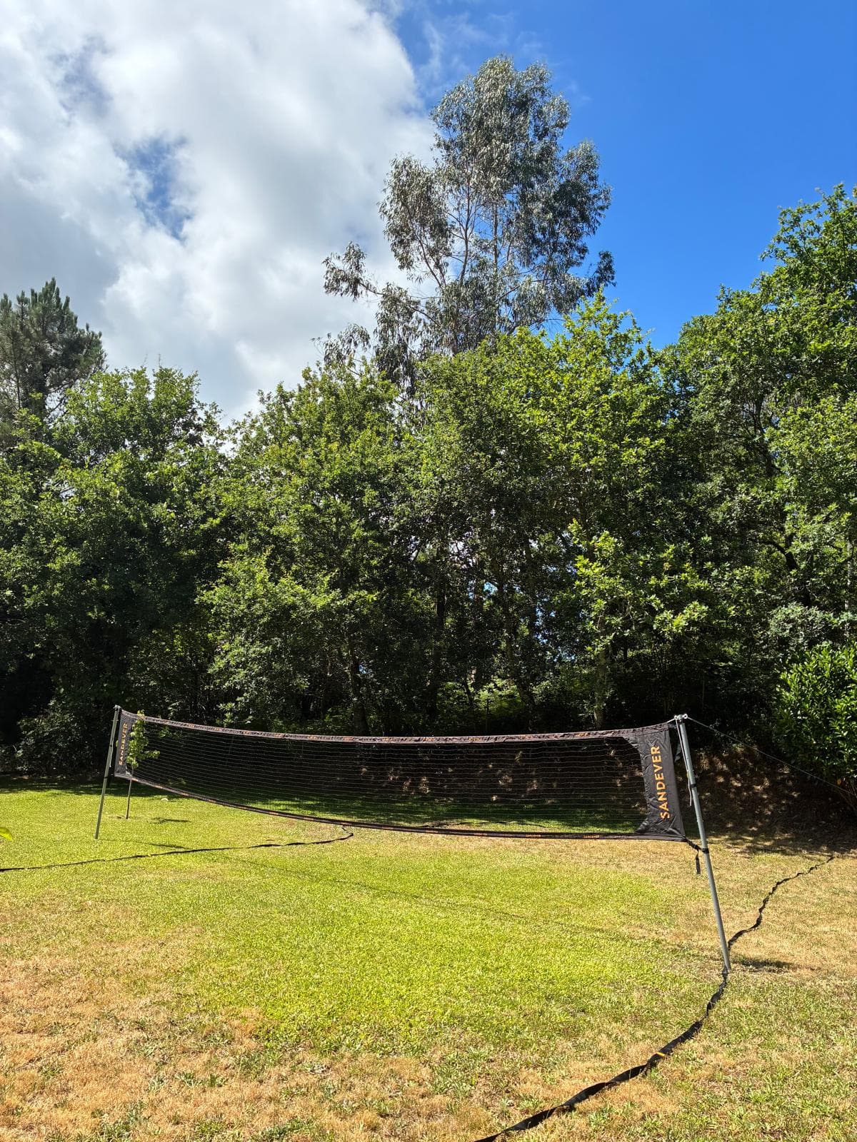 O relvado grande da casa com uma rede de badminton montada, entre árvores altas.