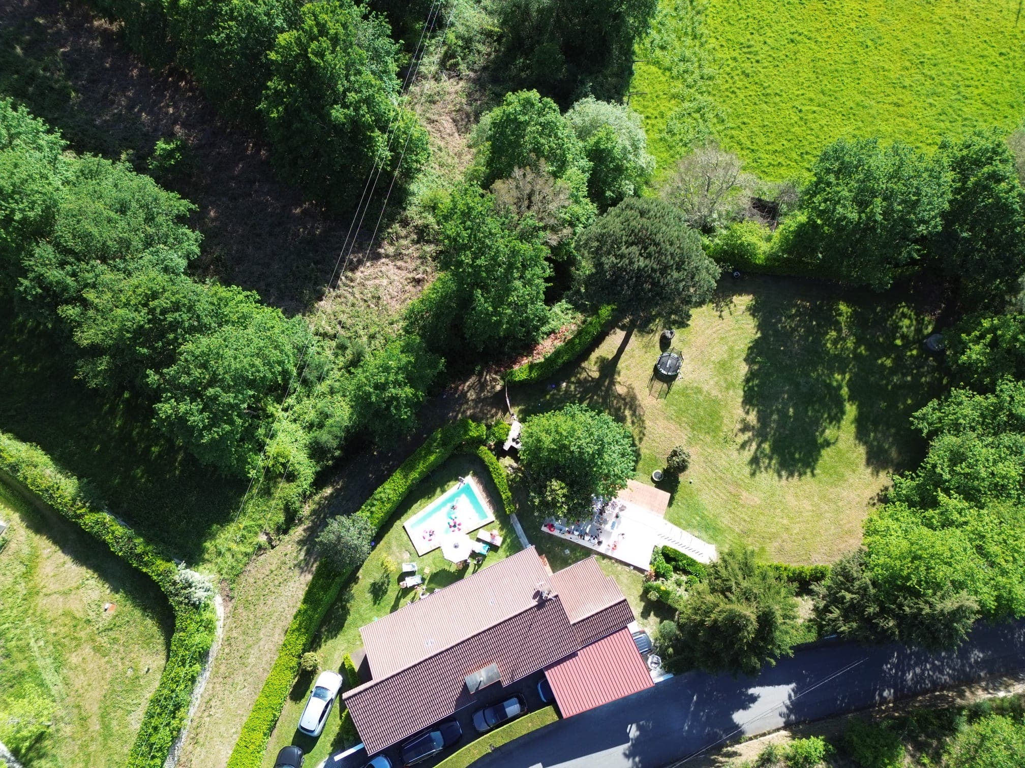 A propriedade vista de cima: a casa junto ao portão, a piscina ao lado, o relvado redondo e a mata a fechar tudo à volta.