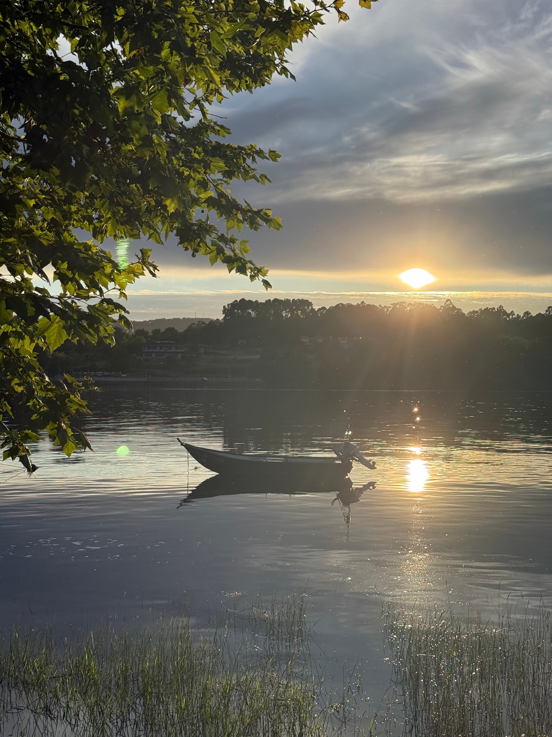 A boat still on the river Minho at sunset, seen through the leaves on the bank.